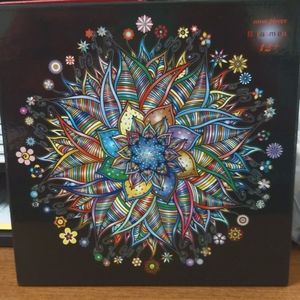 Bgraamiens 1000 piece puzzle